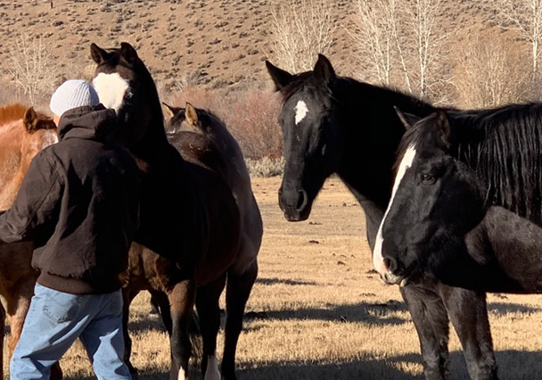 Challis Creek Ranch