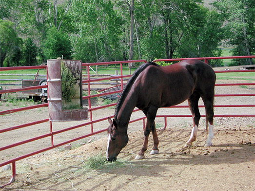 Challis Creek Ranch