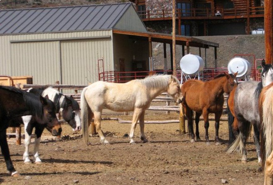 Challis Creek Ranch