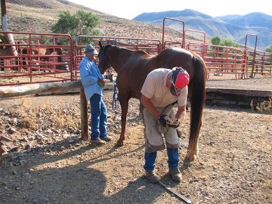 Challis Creek Ranch