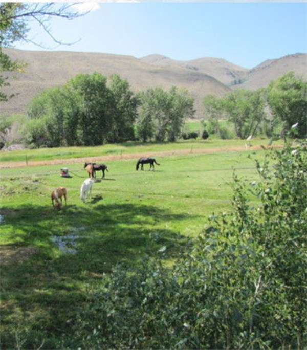 Challis Creek Ranch