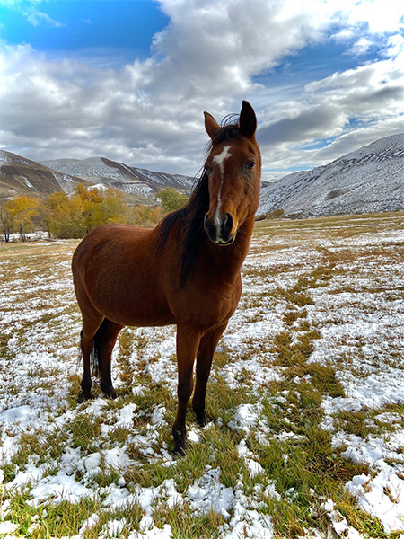 Challis Creek Ranch