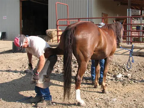 Challis Creek Ranch